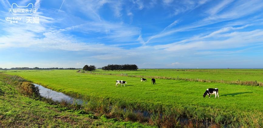 有机奶粉生产流程,深度解析有机奶粉