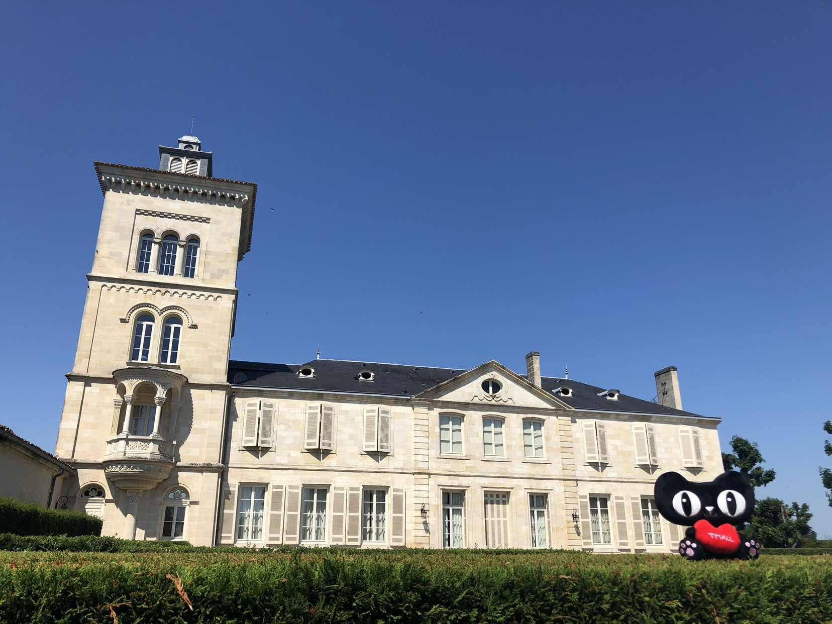 天猫的88超级会员有什么用,天猫88会员升级