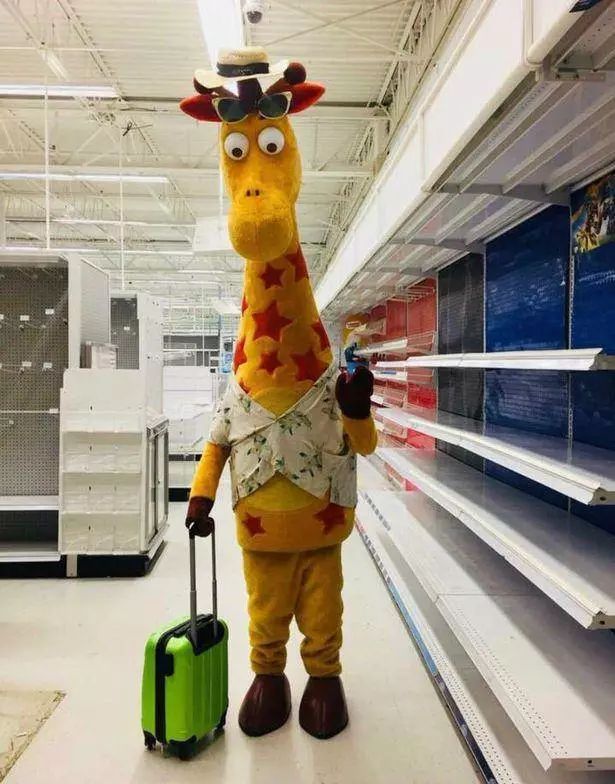 玩具反斗城黯然离场，留下一部半个世纪的玩具史……