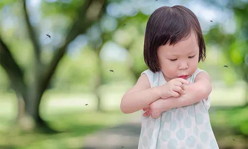 宝宝青草膏抑菌膏,抗菌止痒青草膏