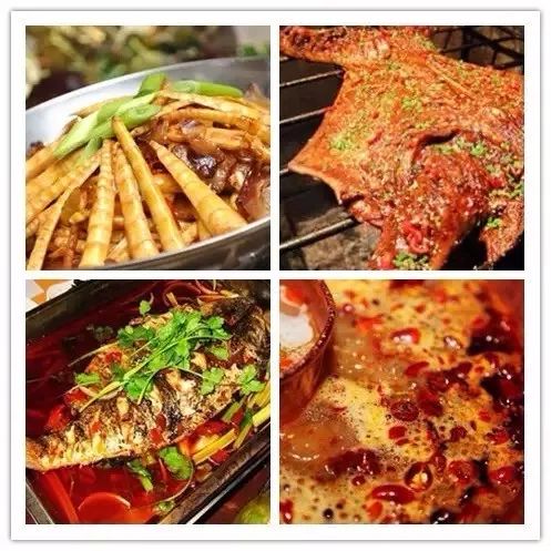 您好，南川！我是你的新朋友——贺州，我们的故事从这一刻开始啦