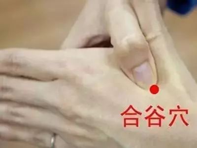 狗中暑的急救治疗方法,中暑了怎么办教你一招就有效