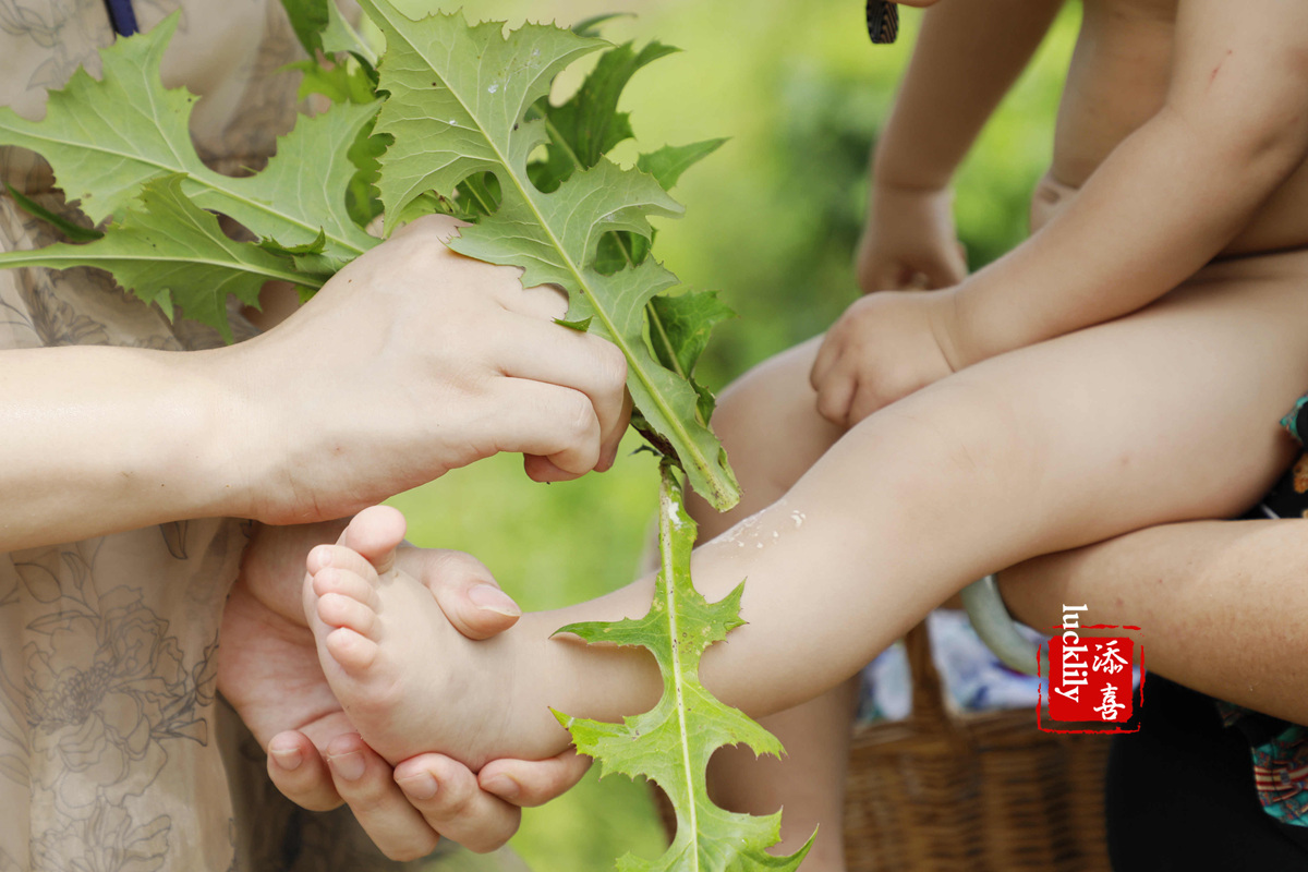 义远农场亲子探险露营：帐篷、萤火虫、足球冰淇淋、竹水枪、采摘