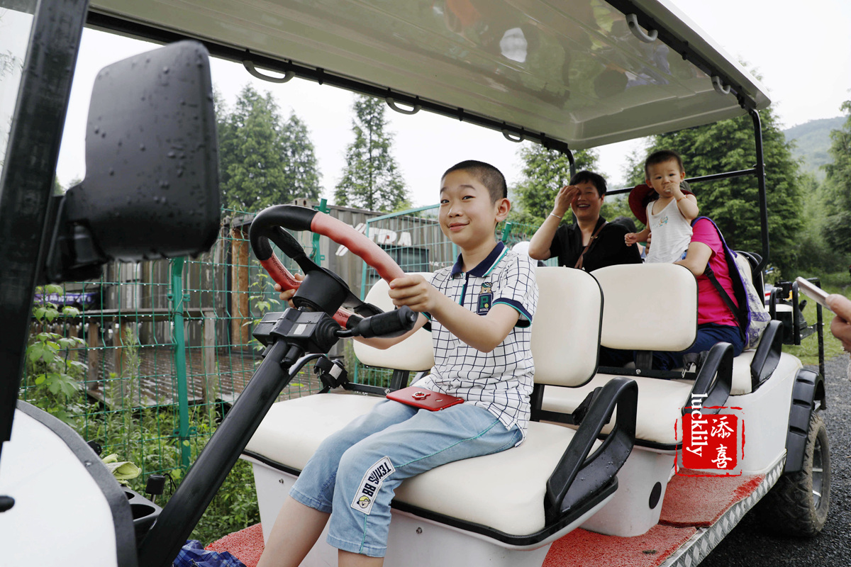 义远农场亲子探险露营：帐篷、萤火虫、足球冰淇淋、竹水枪、采摘