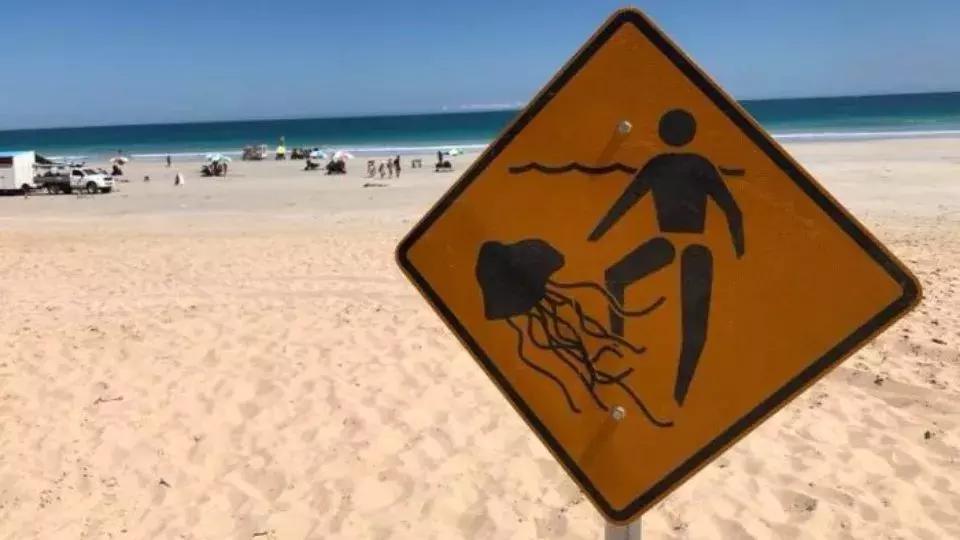 疼痛10大等级哪一级泪流满面,疼痛等级一百级分别都是什么