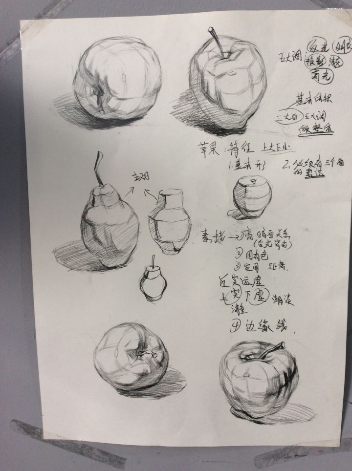 素描油画初学者入门教程,素描零基础油画入门