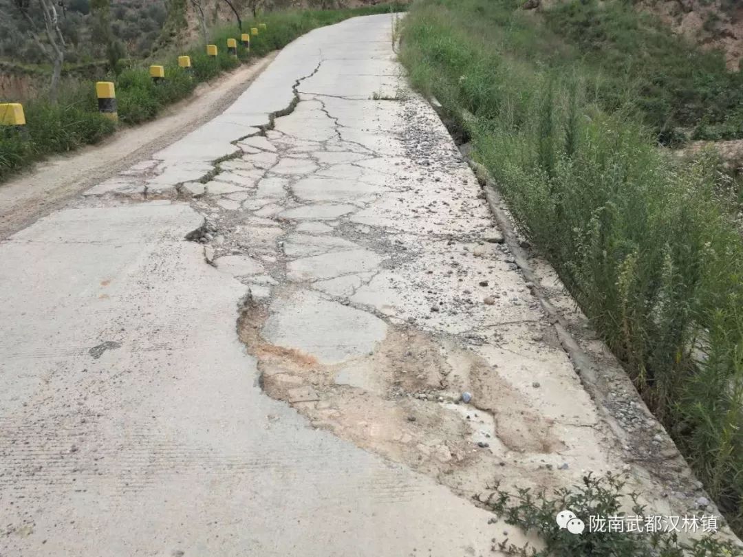 「爱心捐赠」区人大代表、欣达集团董事长李义新献爱心陇南市武都区汉林镇三家地灾区捐款仪式