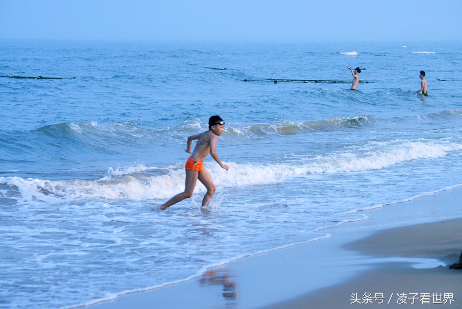 沙滩拾贝壳景区,沙滩花海美景