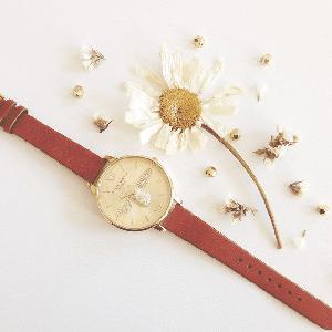 ins小众手表,小众腕表石英表