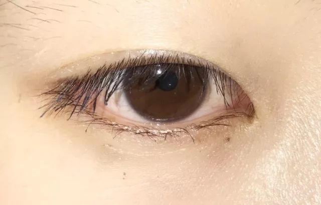 睫毛膏10大品牌推荐,平价卷翘睫毛膏测评