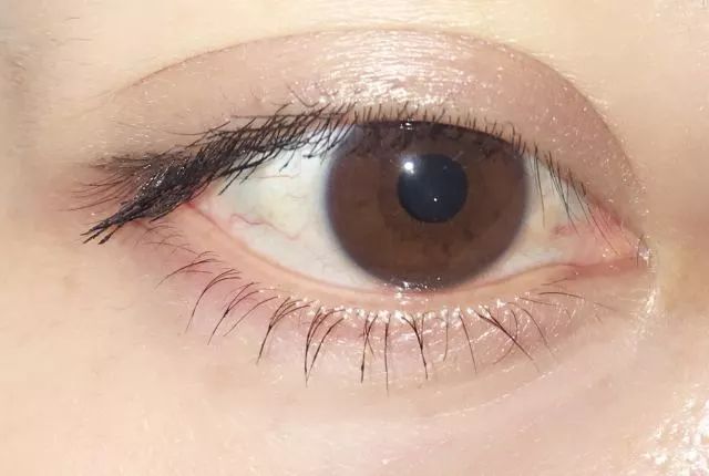 睫毛膏10大品牌推荐,平价卷翘睫毛膏测评