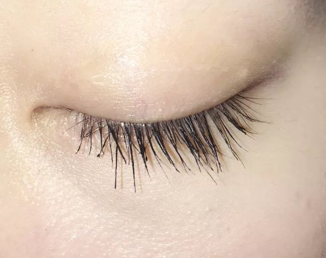 8款热门睫毛膏专业测评，Angelababy最爱的睫毛膏居然垫底了！