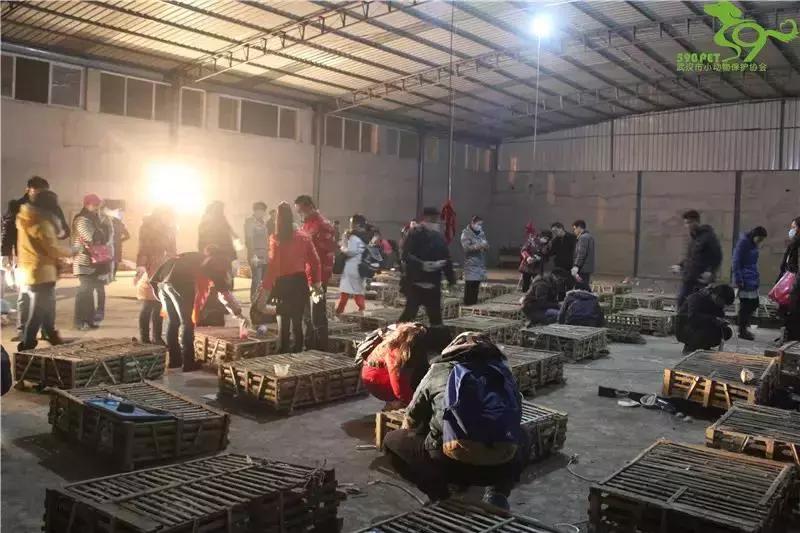 我不能怂歌曲,我不能怂攻略