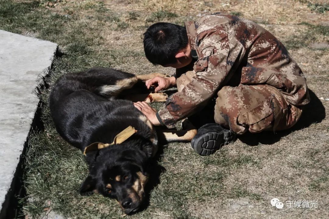 品图：大国末梢的站立者
