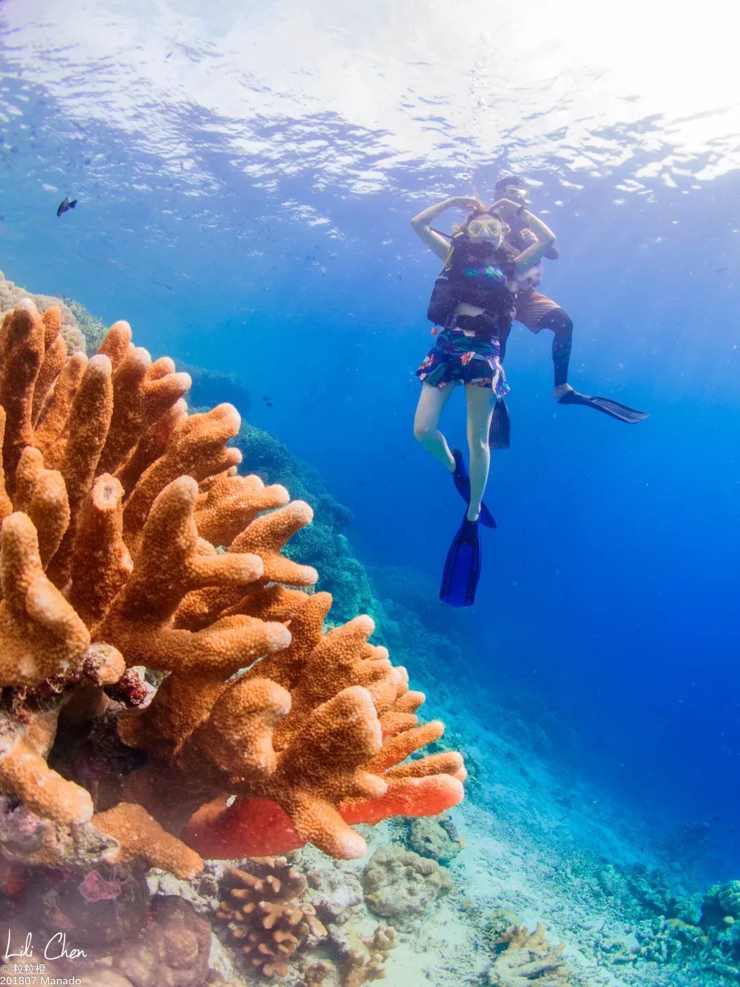 印尼美娜多潜水,印尼美娜多潜水考证