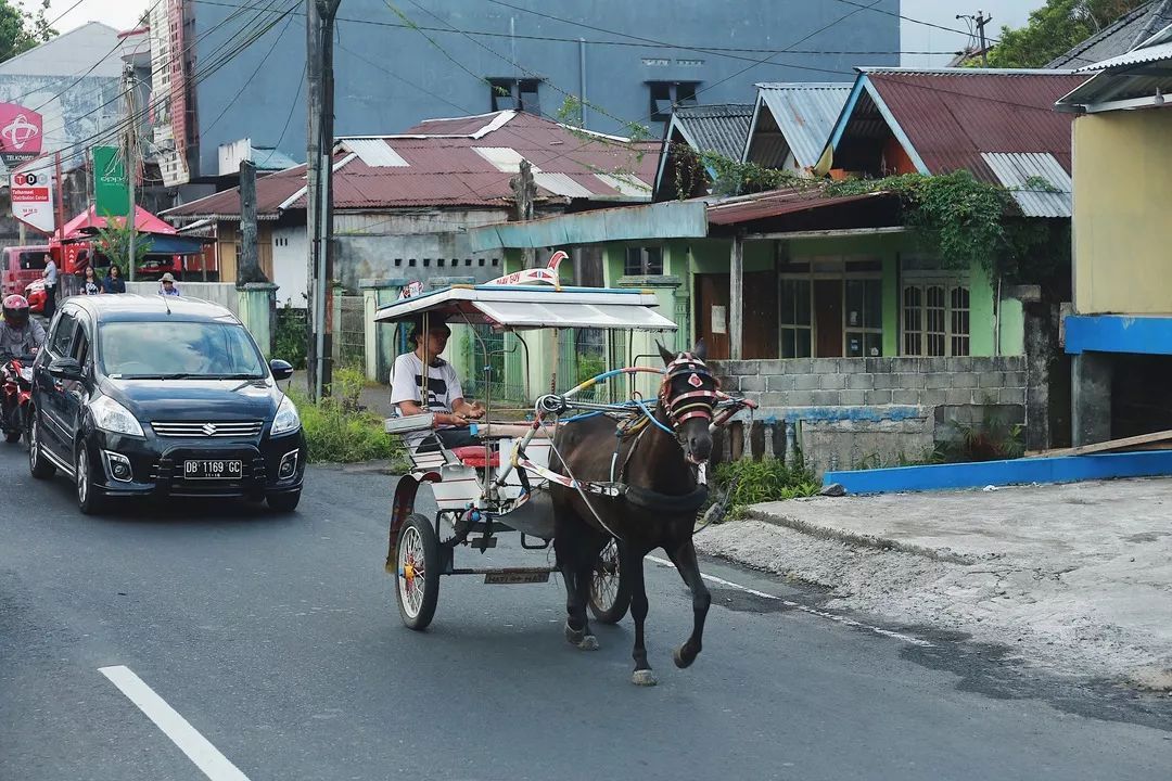印尼美娜多潜水,印尼美娜多潜水考证