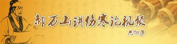 郝万山讲伤寒论第58讲,郝万山伤寒论58集视频