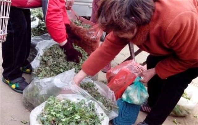 不想打工了在农村做点什么生意好,在农村不想出门打工做什么有收入