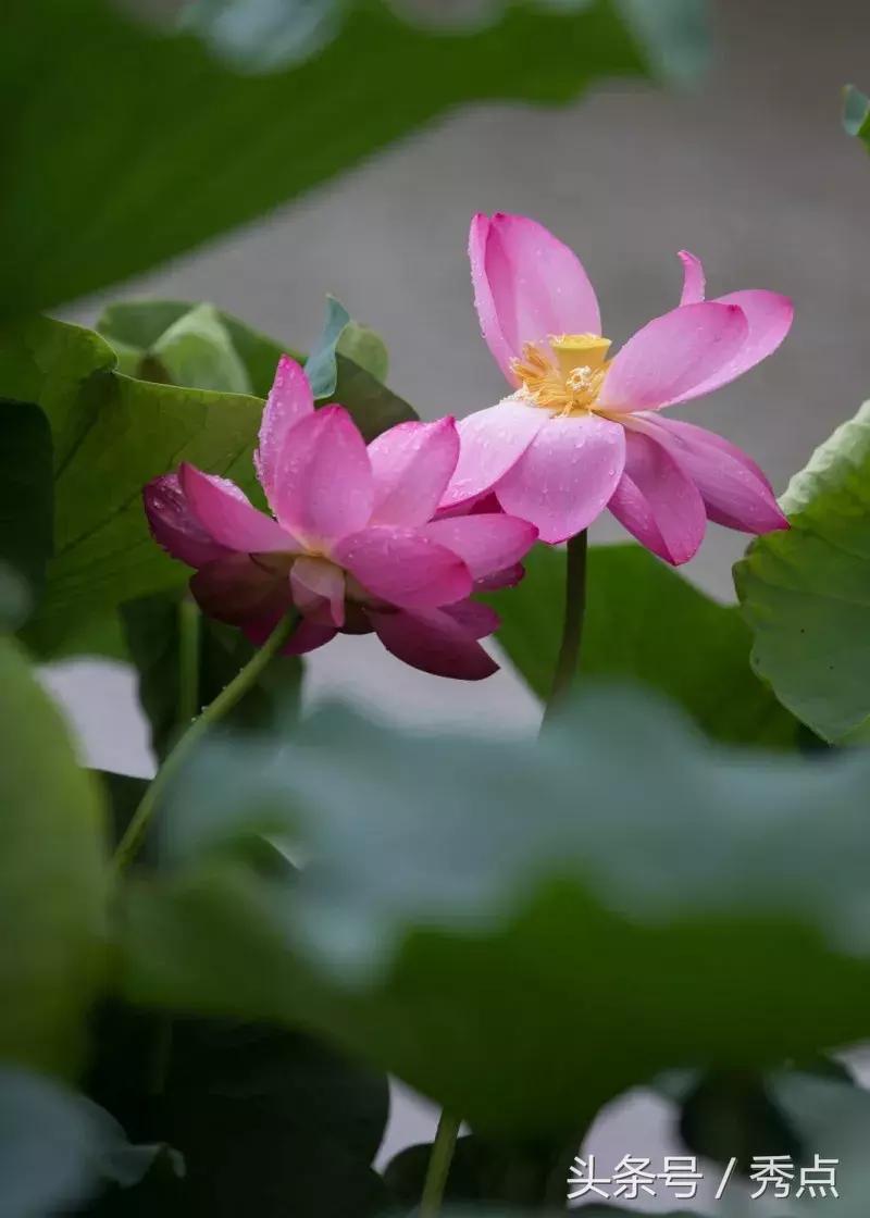 铜川清凉玩水的地方,铜川夏日美景