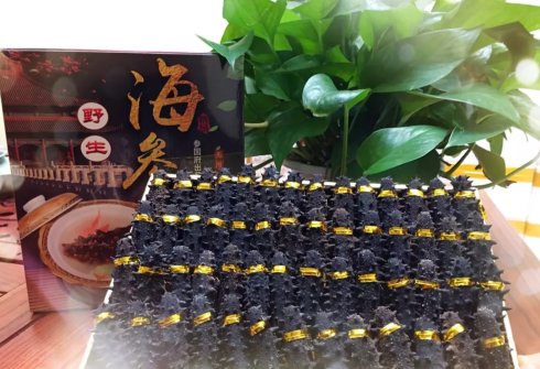海参那么贵真的有营养吗,海参真正的身价