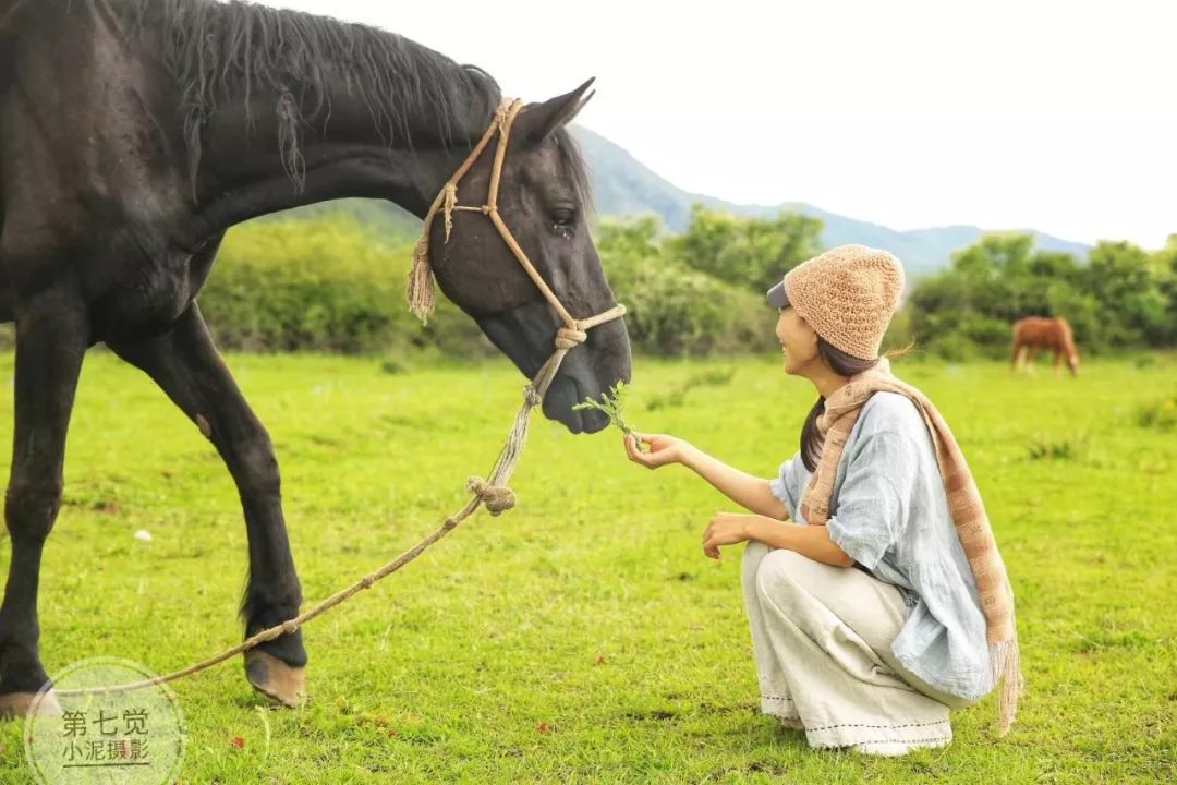 在这里，与自然相处，找寻内在的自己——学员教培感受