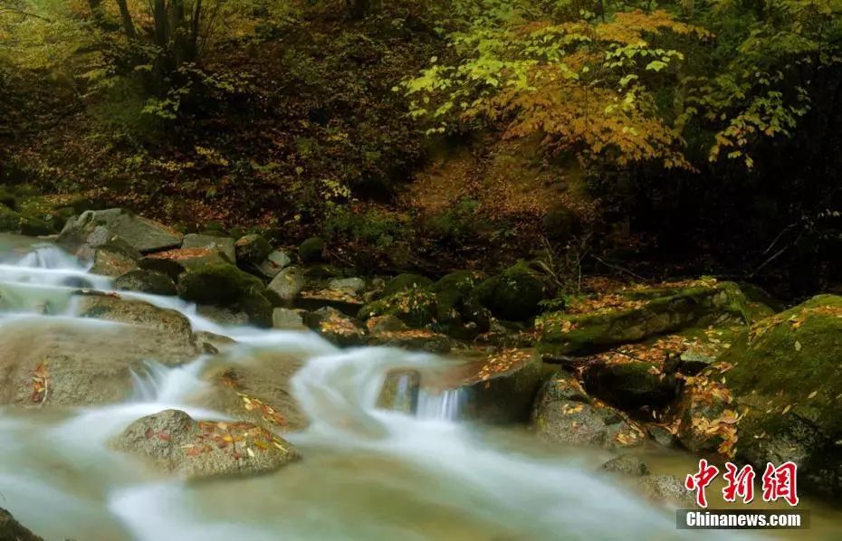 惜命的最好方式竟然不是养生,惜命最好的方式不是养生而是管理