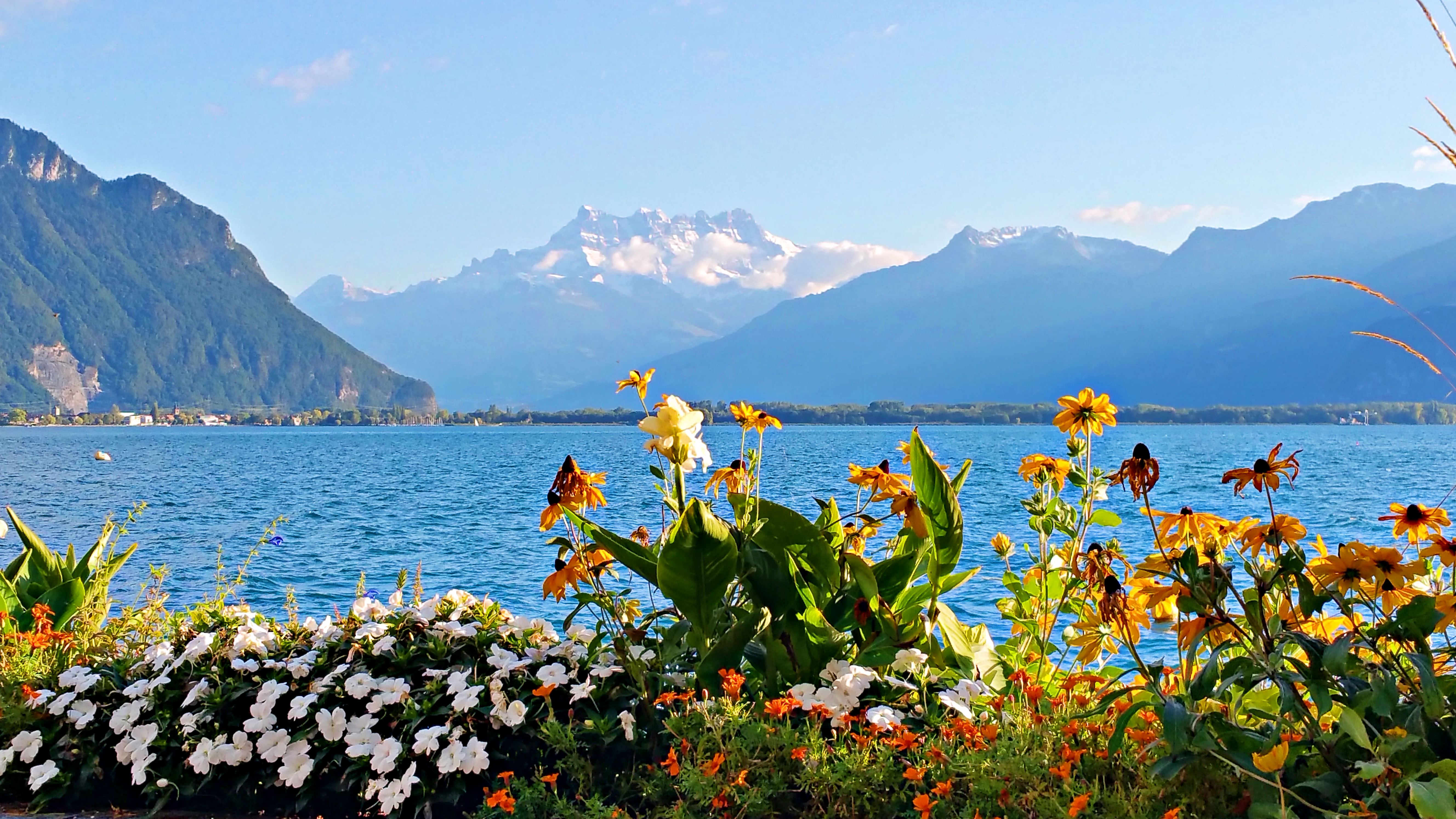欧洲旅行第一好城市,欧洲无国界旅游