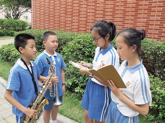 把动物看成一种乐器有哪些,如果把你比作一种动物你就是天鹅