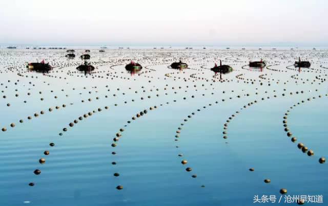 立足生态优势强化发展优势,立足资源禀赋明晰发展思路