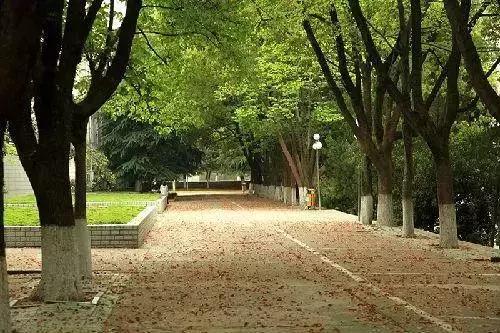 愿陪君醉笑三千场不诉离殇意思,醉笑陪君三千场不诉离殇写给谁的