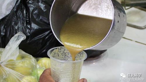 不可思议的重口味饮品：青蛙榨汁、蟑螂制奶？