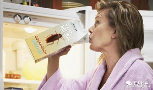 不可思议的重口味饮品：青蛙榨汁、蟑螂制奶？