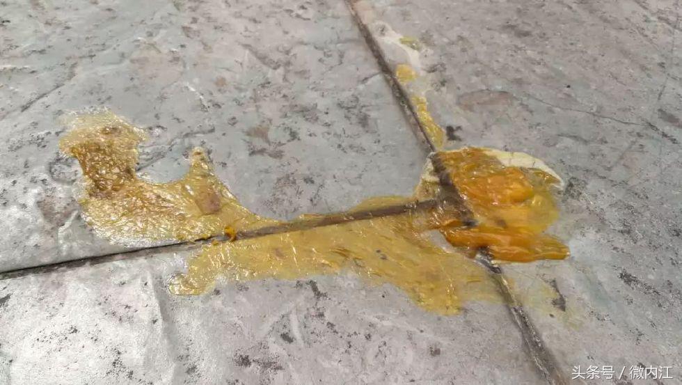 离四川内江最近最暖的地方,内江天气热去哪里玩最适合