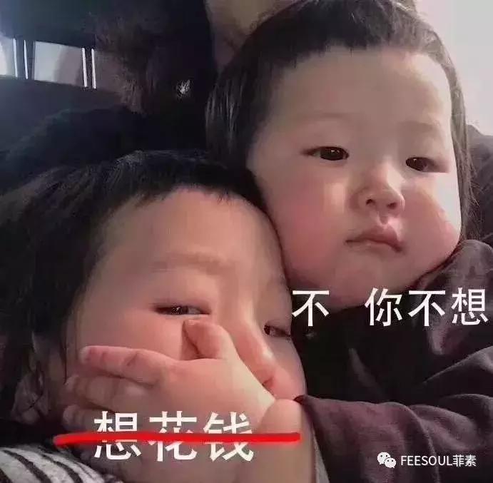 tiffany月季,tiffany宠物盆