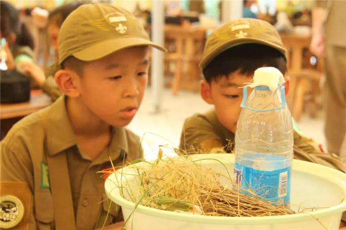 掌声尖叫准备好,荒野小战士即将登场~