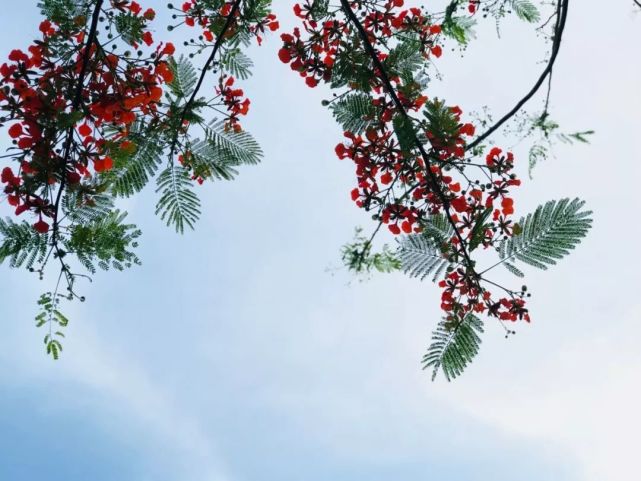 开着奥迪自驾的小姐姐,开着百万奥迪的小姐姐