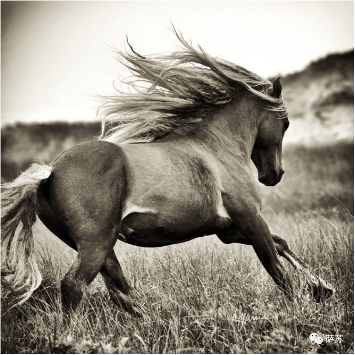 印度为啥这么不待见“中国龙”？背后牵出一段跨国三角恋爱诱拐案