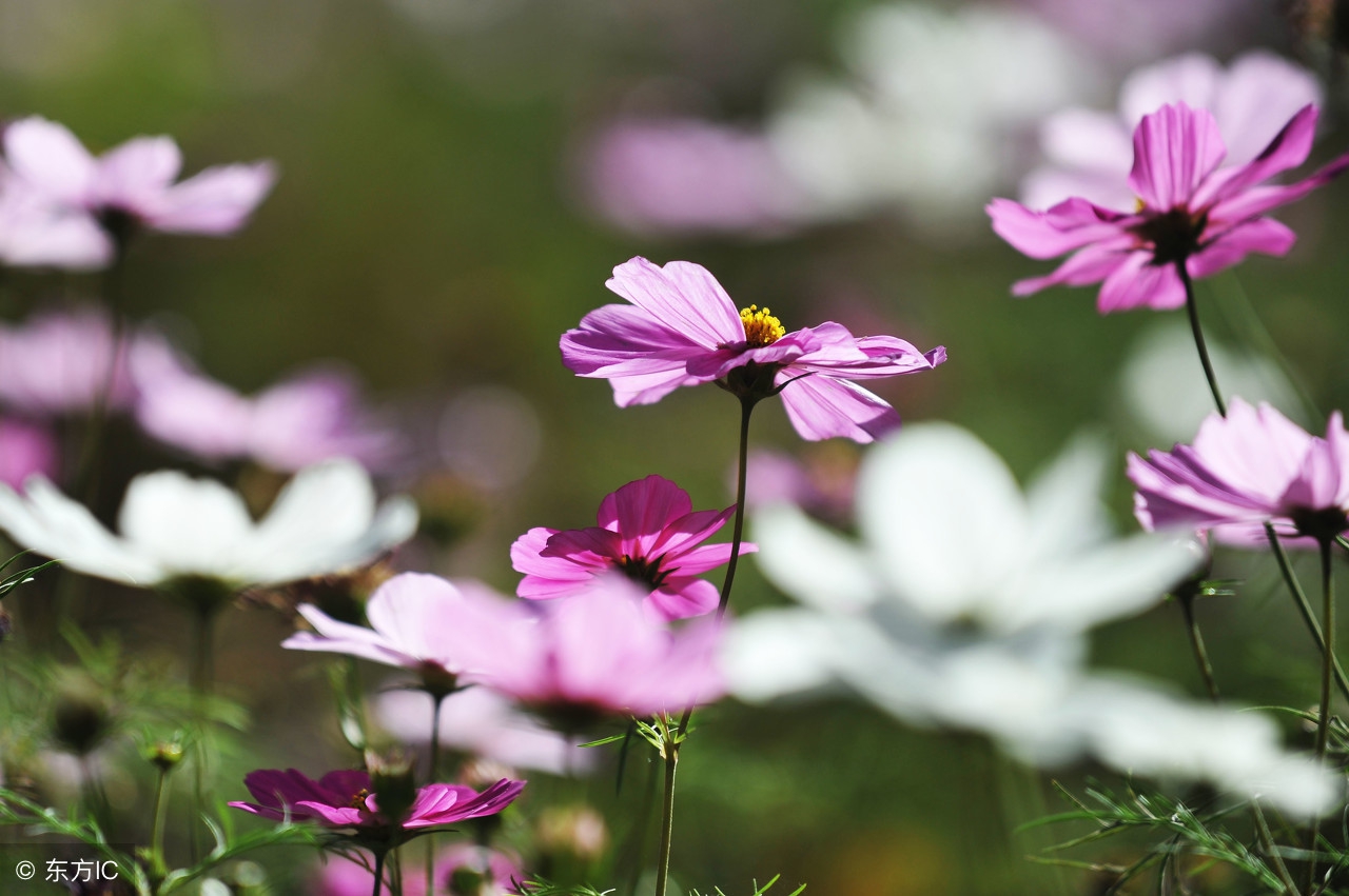鐖辫繃鐤繃鐥涜繃鍝繃鐑﹁繃鎬掕繃鎭ㄨ繃,鐖辫繃鐤繃鐥涜繃鍝繃鐑﹁繃鎬掕繃