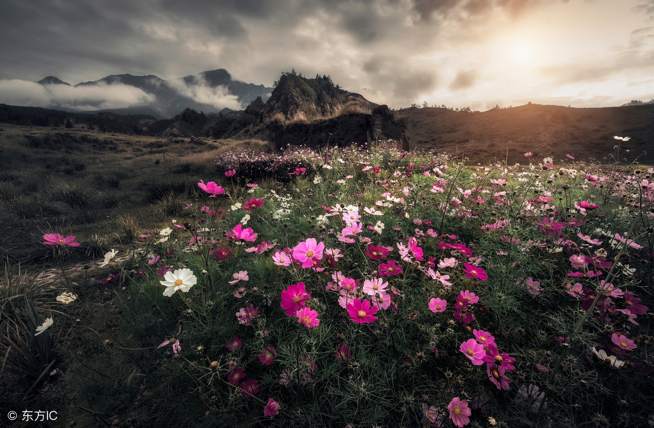 鐖辫繃鐤繃鐥涜繃鍝繃鐑﹁繃鎬掕繃,鐖辫繃鐤繃鐥涜繃鍝繃鐑﹁繃鎬掕繃鎭ㄨ繃