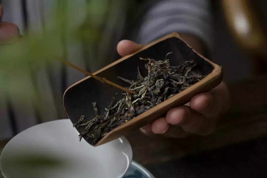 问茶师普洱茶怎么样,问茶好喝吗