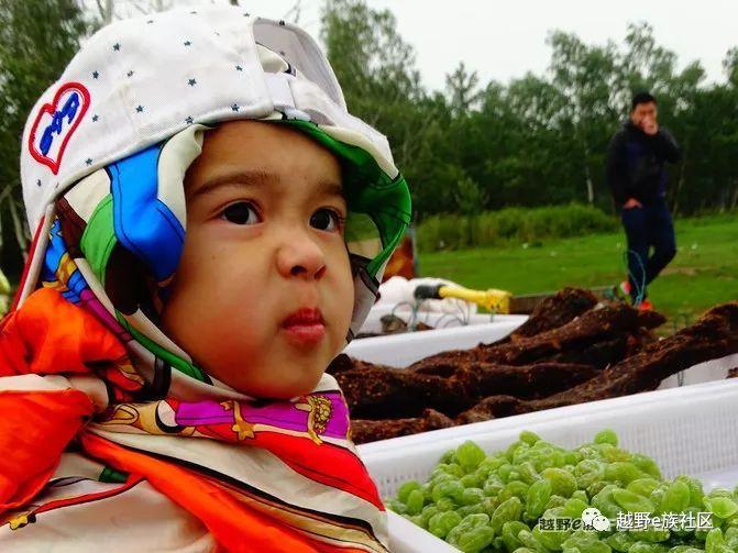 一生总要去一次草原，我的草原自由行之旅