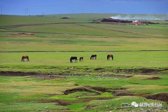 一生总要去一次草原，我的草原自由行之旅