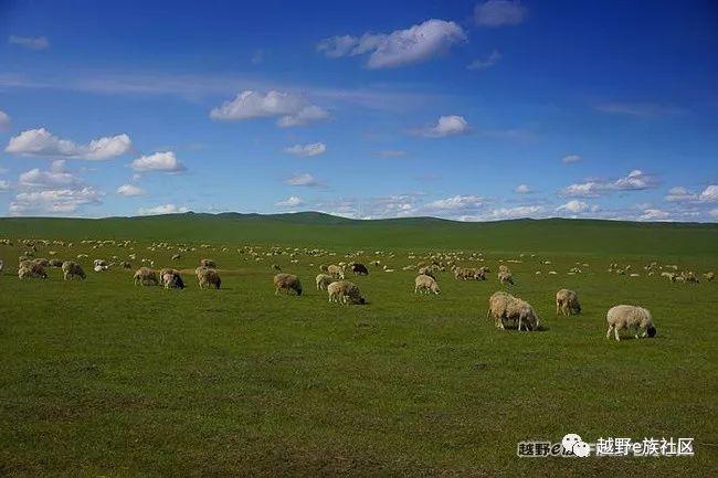 无法忘记的第一次草原之旅,一生必去一次的草原