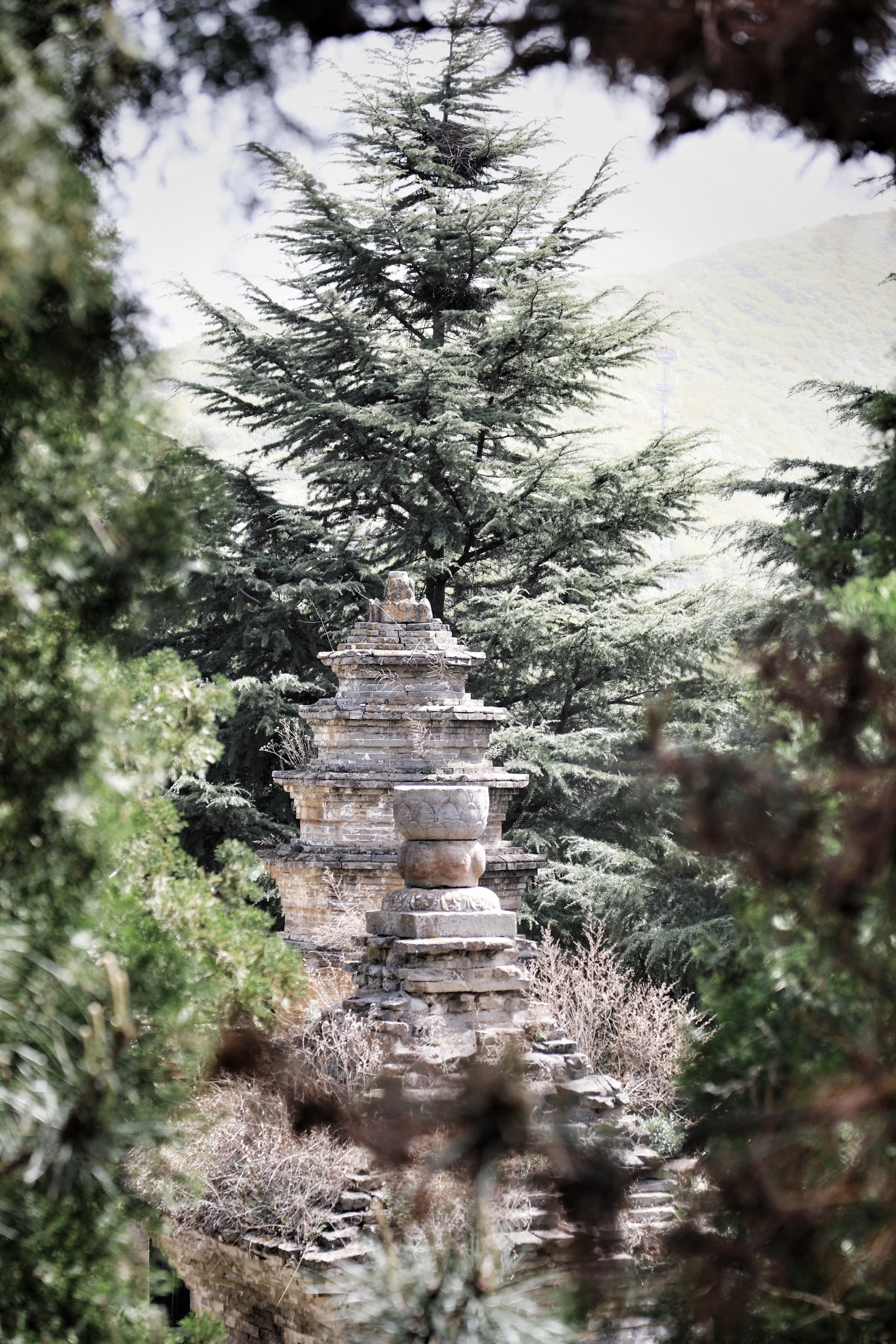 哪些地方有塔林,什么是塔林