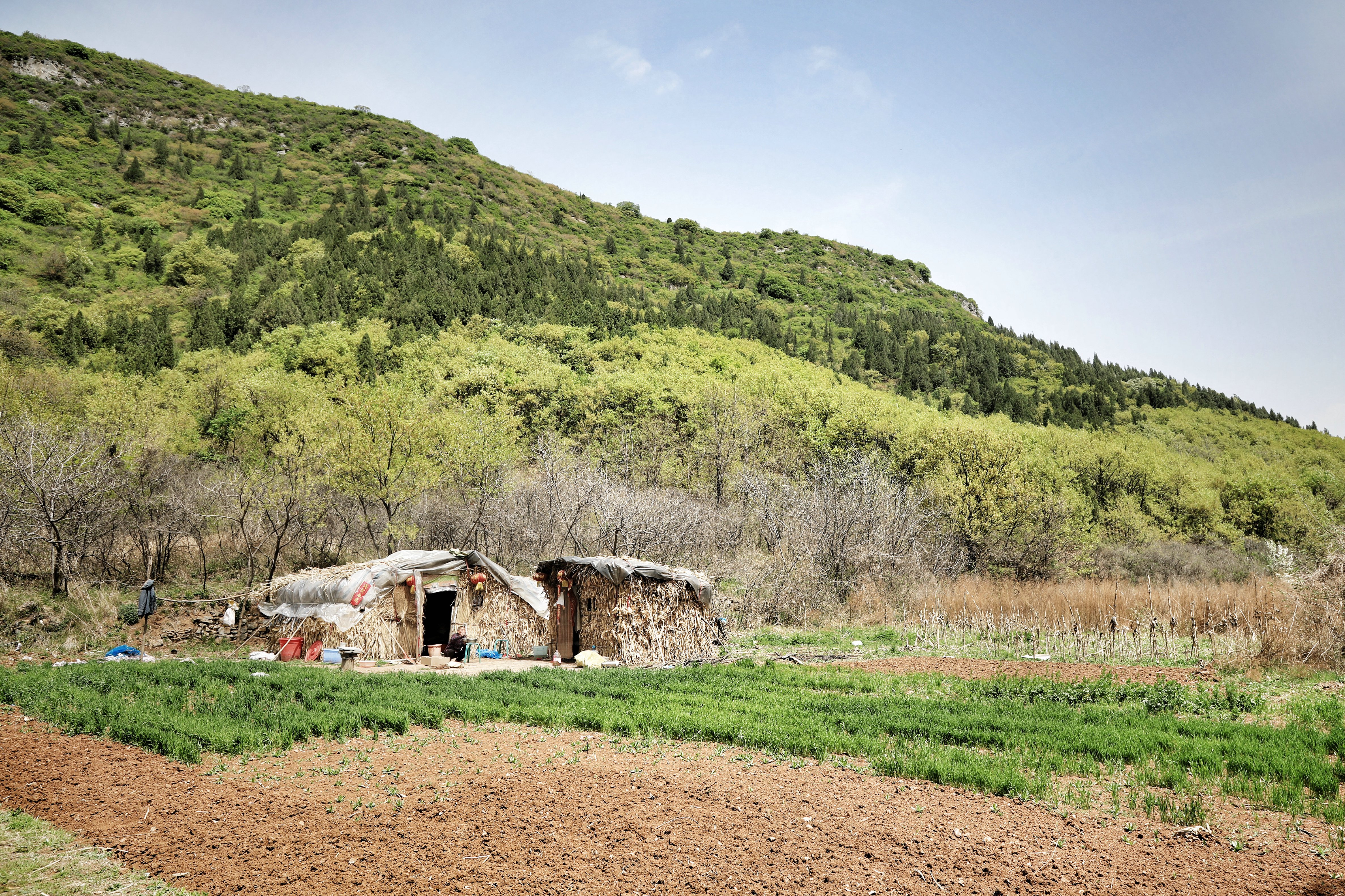 哪些地方有塔林,什么是塔林