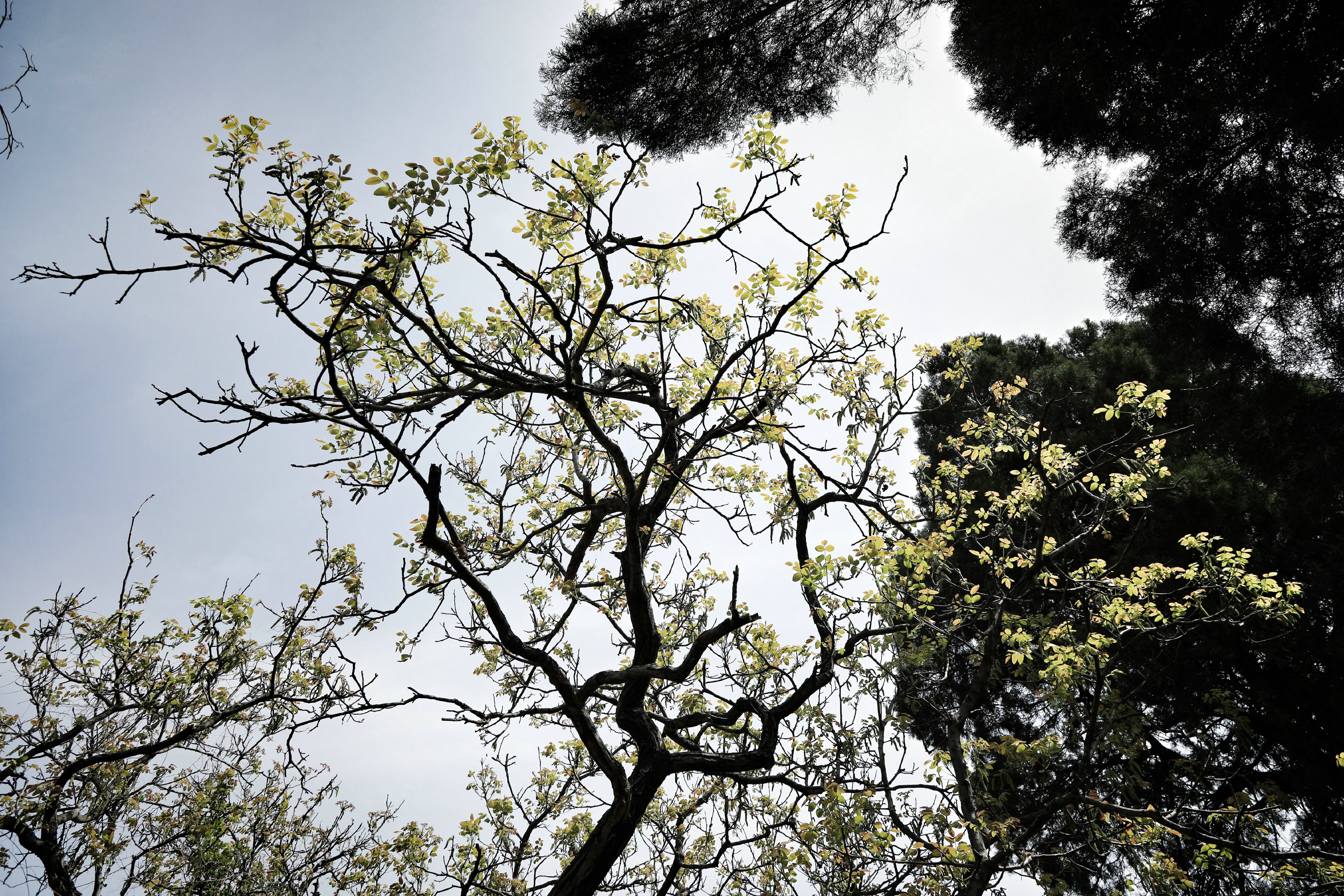 哪些地方有塔林,什么是塔林