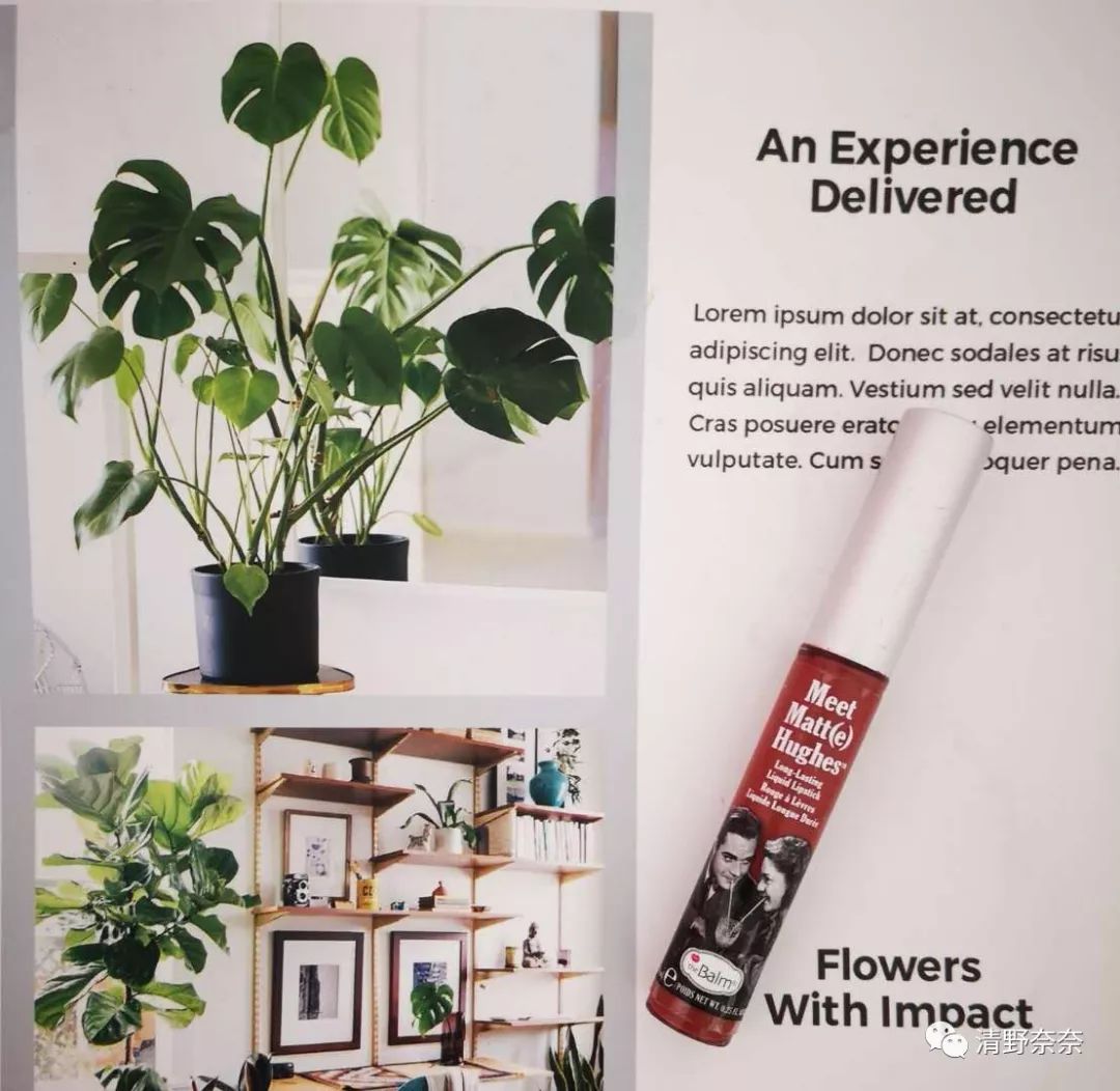 好用的平价国货彩妆单品,平价好用的彩妆单品套装推荐