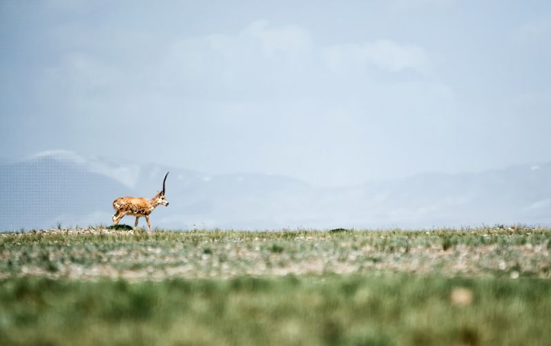 做过这30件事才叫爱旅行的人,做过十件事才算是真爱