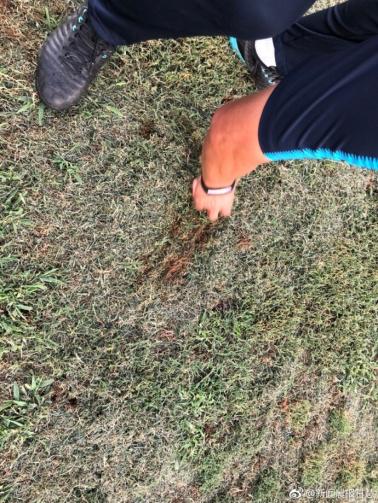 2018预备队联赛申花vs建业,建业申花实时比分