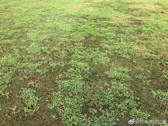 建业vs申花钱杰,河南建业对申花比分预测